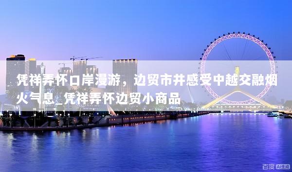 凭祥弄怀口岸漫游，边贸市井感受中越交融烟火气息_凭祥弄怀边贸小商品
