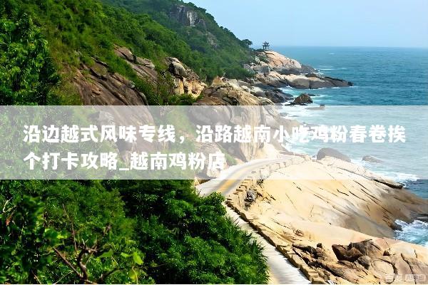 沿边越式风味专线，沿路越南小吃鸡粉春卷挨个打卡攻略_越南鸡粉店