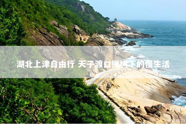 湖北上津自由行 天子渡口柳树下的慢生活