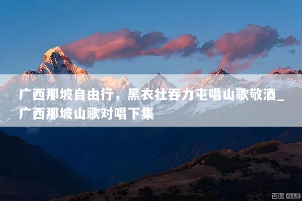 广西那坡自由行，黑衣壮吞力屯唱山歌敬酒_广西那坡山歌对唱下集