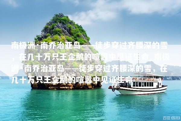 南极洲·南乔治亚岛——徒步穿过齐腰深的雪，在几十万只王企鹅的喧嚣中见证生命_南极洲·南乔治亚岛——徒步穿过齐腰深的雪，在几十万只王企鹅的喧嚣中见证生命