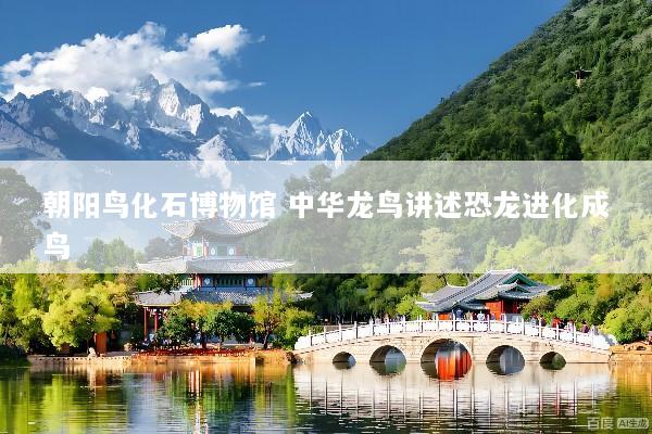 朝阳鸟化石博物馆 中华龙鸟讲述恐龙进化成鸟