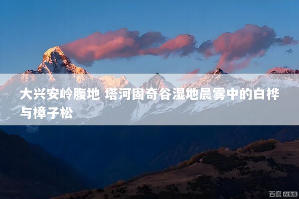 大兴安岭腹地 塔河固奇谷湿地晨雾中的白桦与樟子松