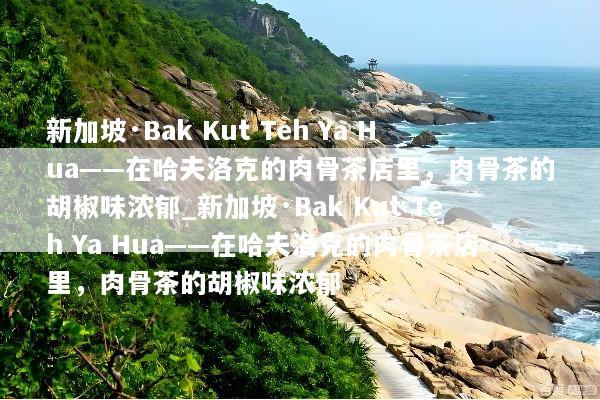 新加坡·Bak Kut Teh Ya Hua——在哈夫洛克的肉骨茶店里，肉骨茶的胡椒味浓郁_新加坡·Bak Kut Teh Ya Hua——在哈夫洛克的肉骨茶店里，肉骨茶的胡椒味浓郁