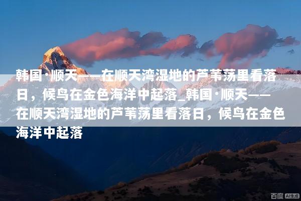 韩国·顺天——在顺天湾湿地的芦苇荡里看落日，候鸟在金色海洋中起落_韩国·顺天——在顺天湾湿地的芦苇荡里看落日，候鸟在金色海洋中起落