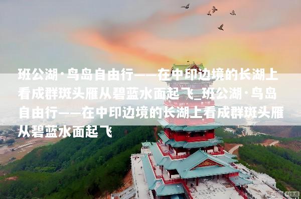 班公湖·鸟岛自由行——在中印边境的长湖上看成群斑头雁从碧蓝水面起飞_班公湖·鸟岛自由行——在中印边境的长湖上看成群斑头雁从碧蓝水面起飞