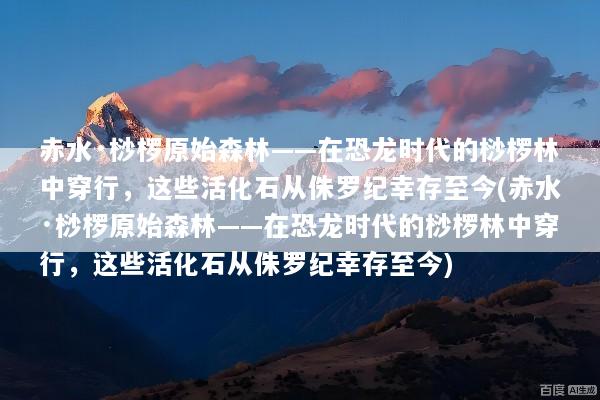 赤水·桫椤原始森林——在恐龙时代的桫椤林中穿行，这些活化石从侏罗纪幸存至今(赤水·桫椤原始森林——在恐龙时代的桫椤林中穿行，这些活化石从侏罗纪幸存至今)