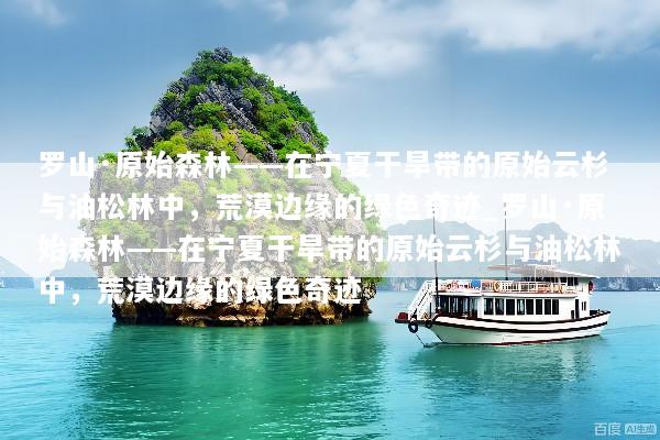 罗山·原始森林——在宁夏干旱带的原始云杉与油松林中，荒漠边缘的绿色奇迹_罗山·原始森林——在宁夏干旱带的原始云杉与油松林中，荒漠边缘的绿色奇迹