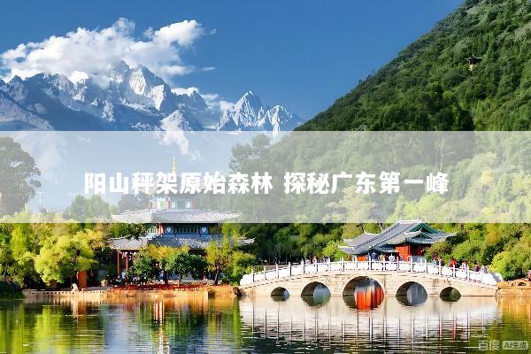 阳山秤架原始森林 探秘广东第一峰