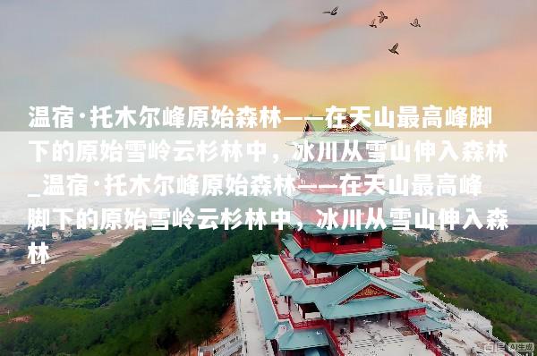温宿·托木尔峰原始森林——在天山最高峰脚下的原始雪岭云杉林中，冰川从雪山伸入森林_温宿·托木尔峰原始森林——在天山最高峰脚下的原始雪岭云杉林中，冰川从雪山伸入森林
