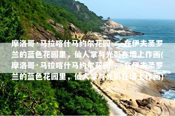 摩洛哥·马拉喀什马约尔花园——在伊夫圣罗兰的蓝色花园里，仙人掌与光影在墙上作画(摩洛哥·马拉喀什马约尔花园——在伊夫圣罗兰的蓝色花园里，仙人掌与光影在墙上作画)