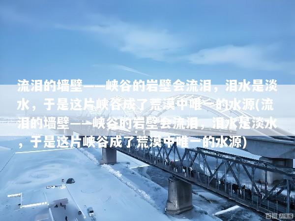 流泪的墙壁——峡谷的岩壁会流泪，泪水是淡水，于是这片峡谷成了荒漠中唯一的水源(流泪的墙壁——峡谷的岩壁会流泪，泪水是淡水，于是这片峡谷成了荒漠中唯一的水源)