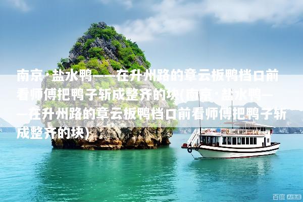 南京·盐水鸭——在升州路的章云板鸭档口前看师傅把鸭子斩成整齐的块(南京·盐水鸭——在升州路的章云板鸭档口前看师傅把鸭子斩成整齐的块)