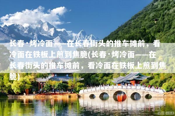 长春·烤冷面——在长春街头的推车摊前，看冷面在铁板上煎到焦脆(长春·烤冷面——在长春街头的推车摊前，看冷面在铁板上煎到焦脆)