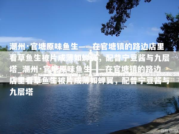 潮州·官塘原味鱼生——在官塘镇的路边店里看草鱼生被片成薄如蝉翼，配普宁豆酱与九层塔_潮州·官塘原味鱼生——在官塘镇的路边店里看草鱼生被片成薄如蝉翼，配普宁豆酱与九层塔