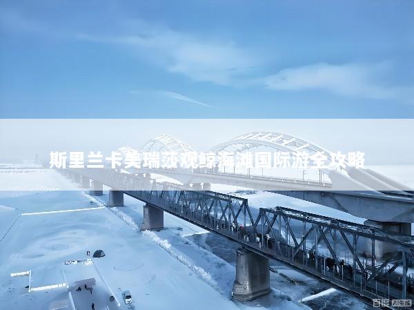 斯里兰卡美瑞莎观鲸海滩国际游全攻略