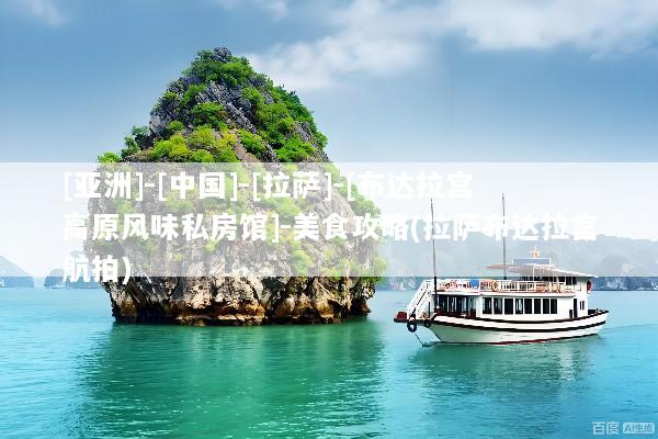 [亚洲]-[中国]-[拉萨]-[布达拉宫高原风味私房馆]-美食攻略(拉萨布达拉宫航拍)