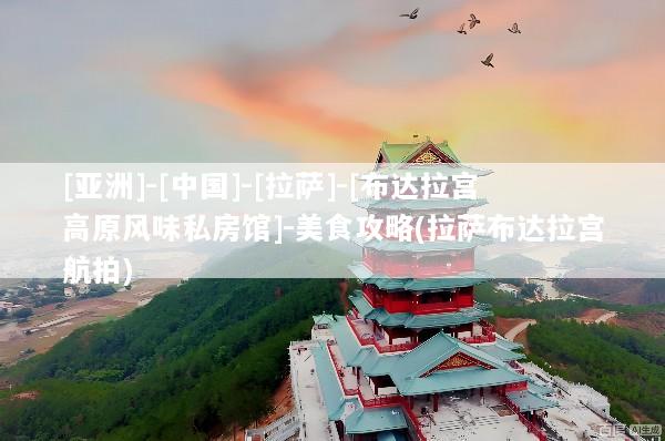 [亚洲]-[中国]-[拉萨]-[布达拉宫高原风味私房馆]-美食攻略(拉萨布达拉宫航拍)